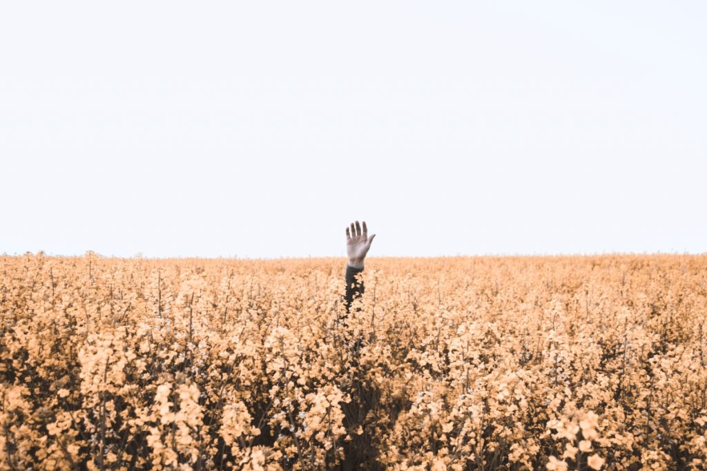 Being present in the messy middle as illustrated by a hand in a field